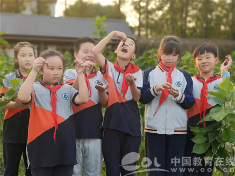 杭州市周浦小学开展PBL项目制美术课程:美丽乡村进课堂,童心造物引共鸣-K12美术网