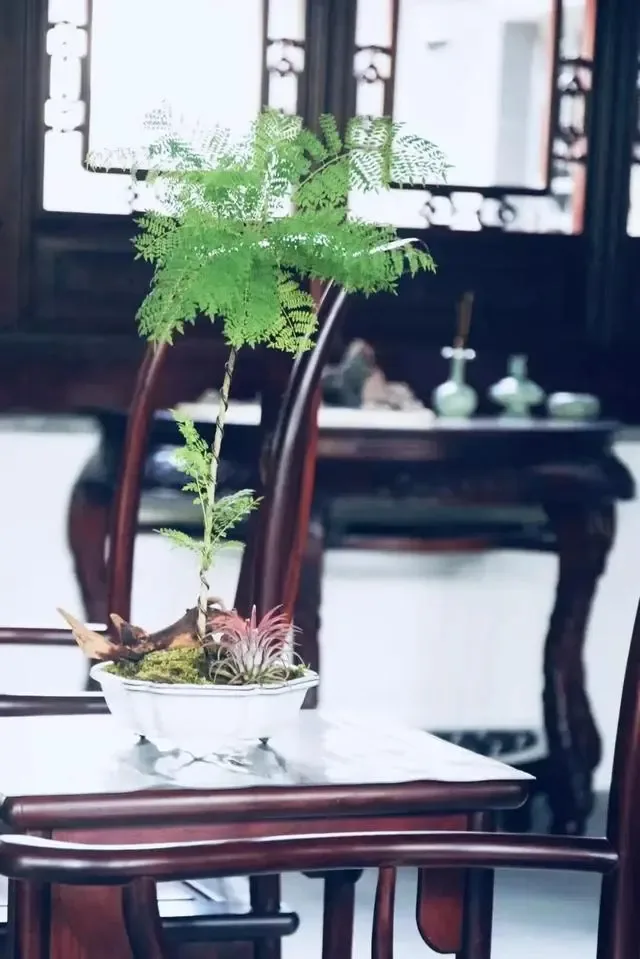 这些东方美学主题展，初秋时节不容错过-K12美术网
