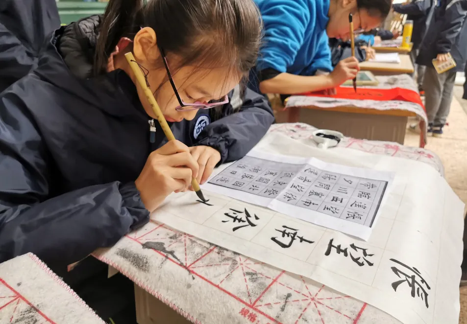 教育专题